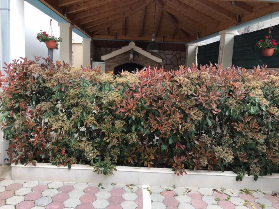 Apartmani Mane Trogir Eksteriør bilde