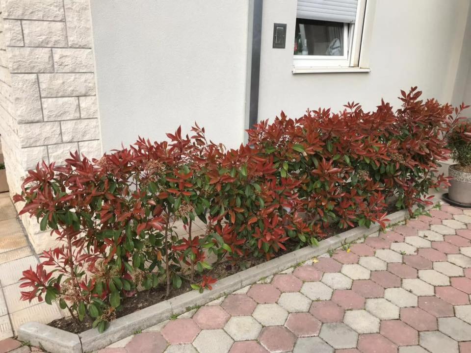 Apartmani Mane Trogir Eksteriør bilde